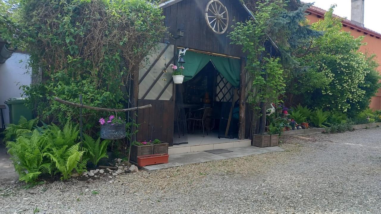布拉索夫 Casa Danei酒店 外观 照片